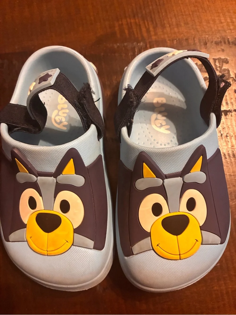 Kids Light Blue Cartoon Dog Clogs with Adjustable Strap